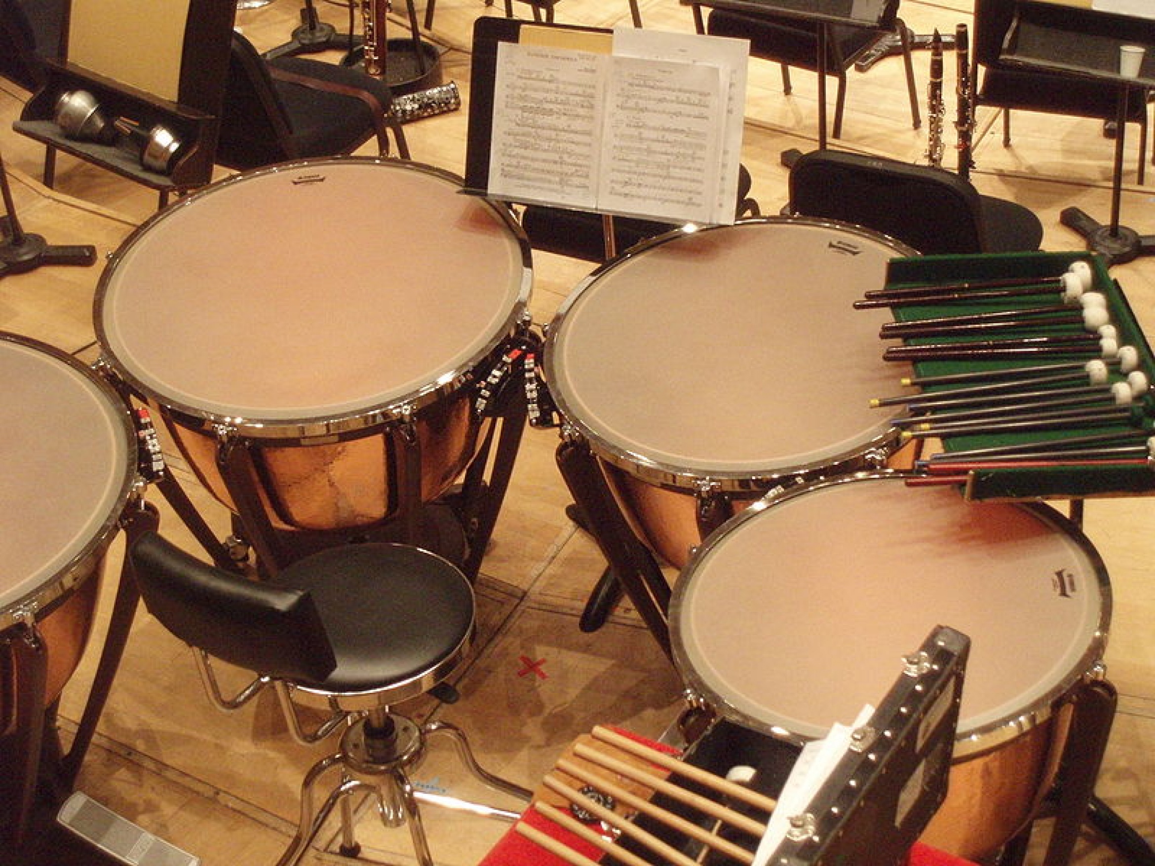 800pxCivic_Orchestra_of_Chicago_Timpani MVEching