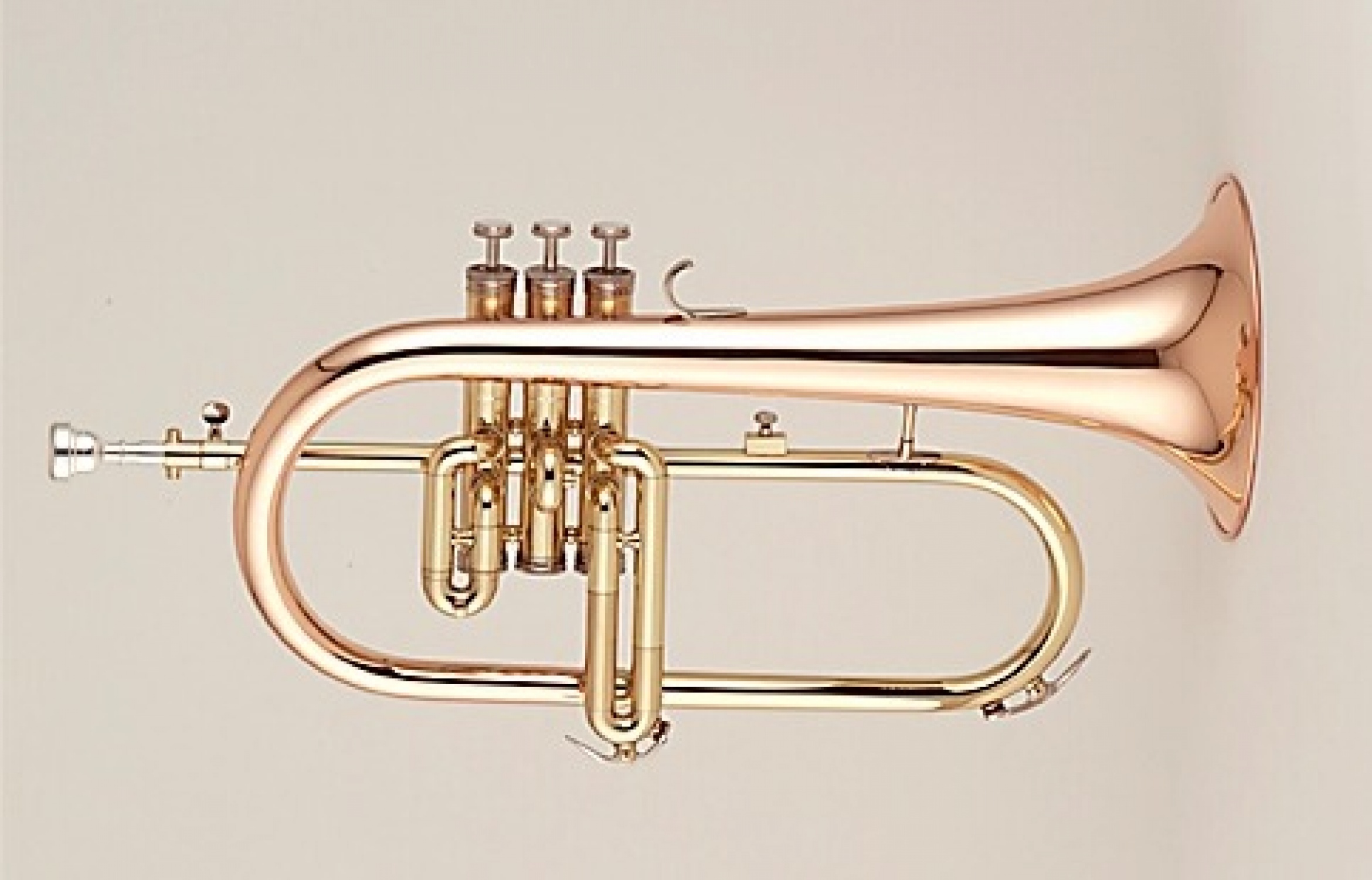 Flugelhorn MVEching